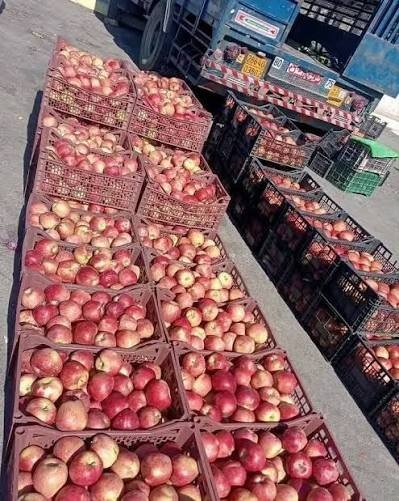 Crates of freshly harvested apples ready for transport