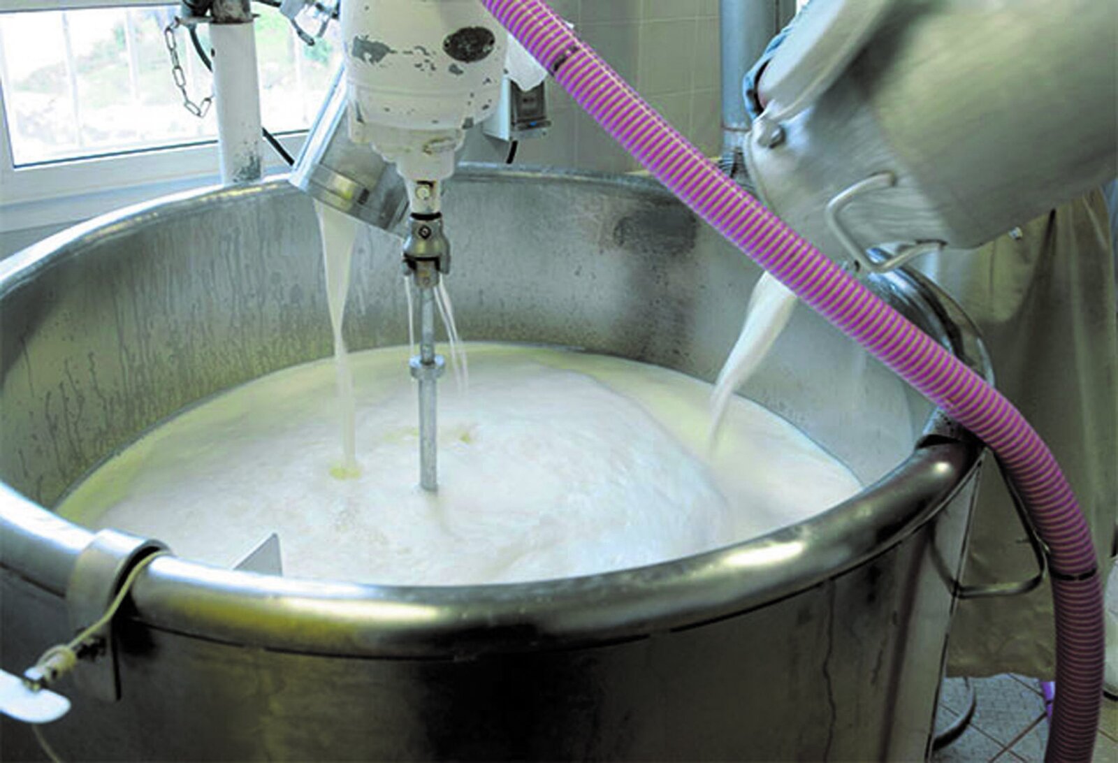Fresh milk being poured into the vat