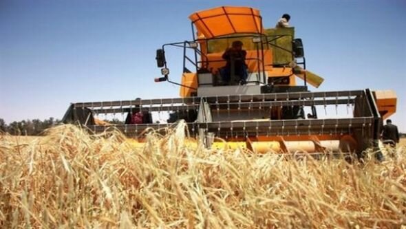 Combine harvester bringing in the wheat crop